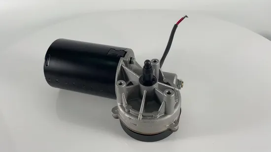 63mm 12V 24V Micro Worm Geared DC Electric Motor with Reduction 