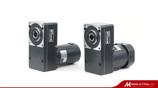 Auto Parts Single Phase AC Gear Motor with Small Mini Motor Synchronous Motor Spiral Bevel 