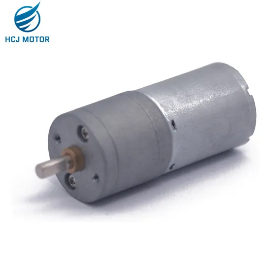 High Torque 25mm 6V 12V 24V 50rpm 100rpm 150rpm Micro Electric DC Gear Motor with Spur Reduction Gearbox Reducer 