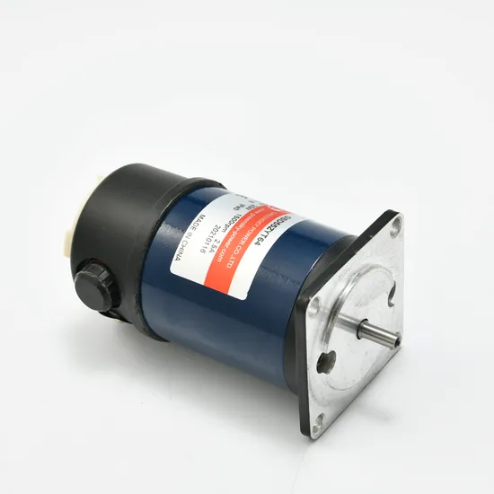 12V 24V High Speed 2000 Rpm Micro DC Brush Motor with Gear Reduction 