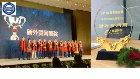 Micro AC Gear Motor Single