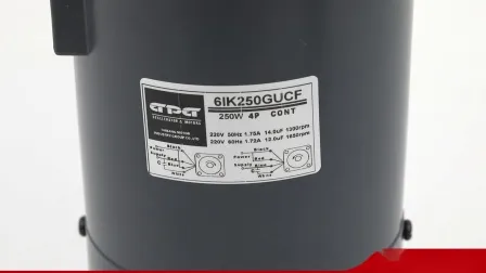 Gpg 110V 220V 380V Single Three Phase Micro AC Induction Reversible Brake Electric Gear Reduction Motor Brushed Brushless DC Gear Reducer Motor CH CV Series 