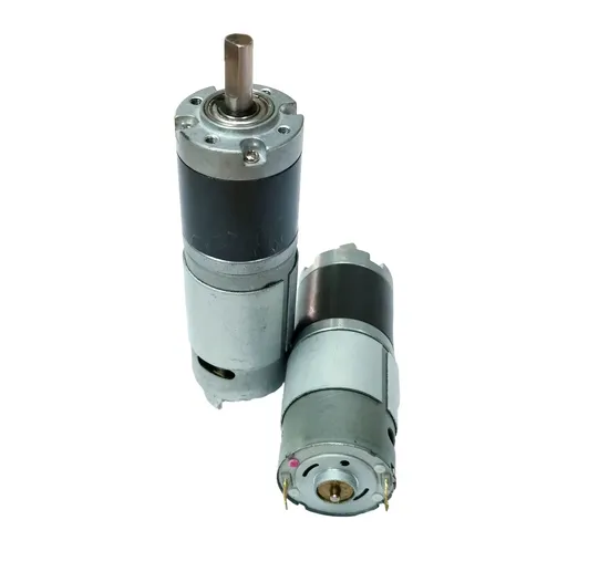 PMDC Micro Electrical Brushless DC Gear Geared Motor AC Brushed Mini High Torque Gearbox for Electric Bike/Powerful Coffee Grinder Mixer/ Drone/ Power Tools 